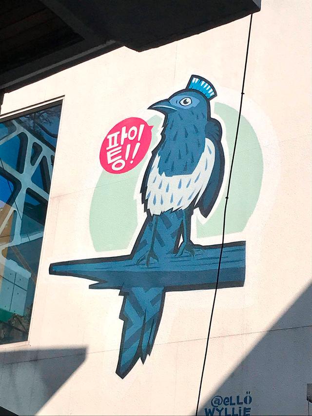 MAGPIE PUNK